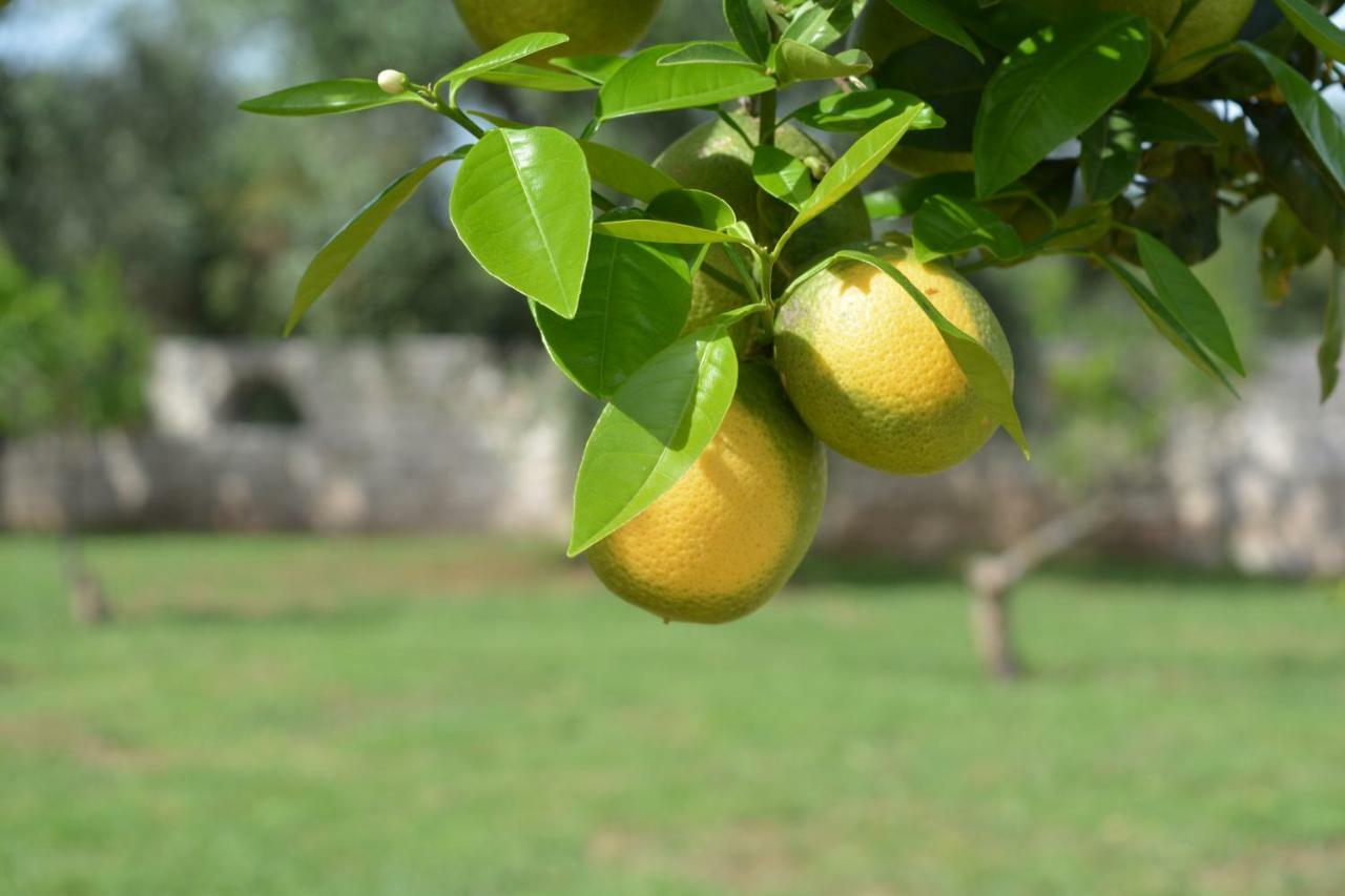 Puglia Garden 4*